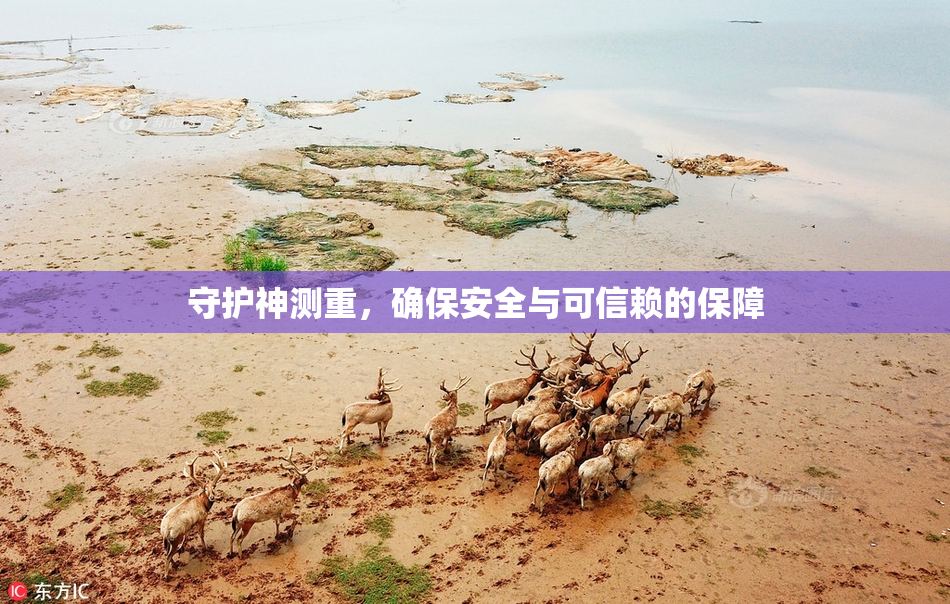 守护神测重，确保安全与可信赖的保障