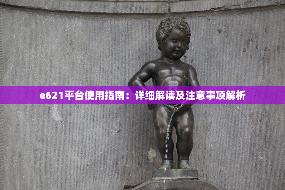 e621平台使用指南：详细解读及注意事项解析
