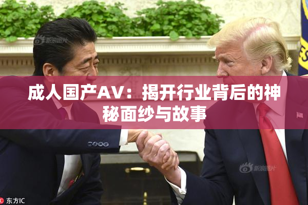 成人国产AV：揭开行业背后的神秘面纱与故事