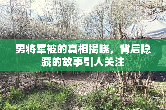 男将军被的真相揭晓，背后隐藏的故事引人关注