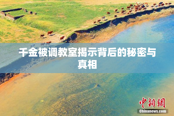 千金被调教室揭示背后的秘密与真相