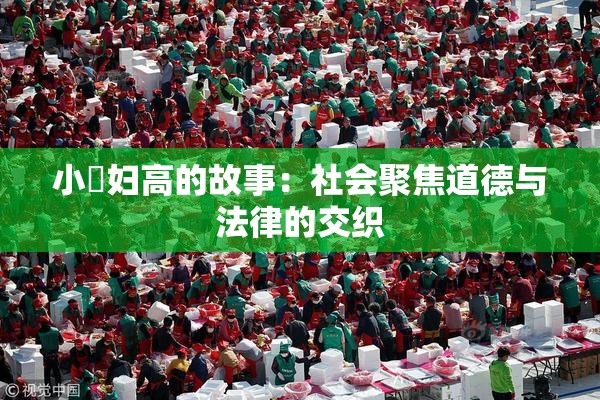 小婬妇高的故事：社会聚焦道德与法律的交织