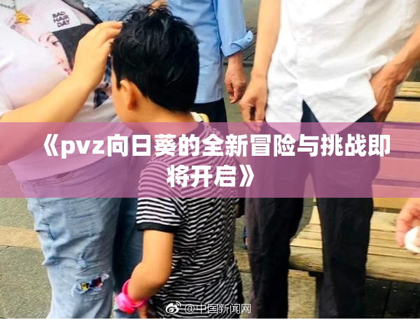 《pvz向日葵的全新冒险与挑战即将开启》