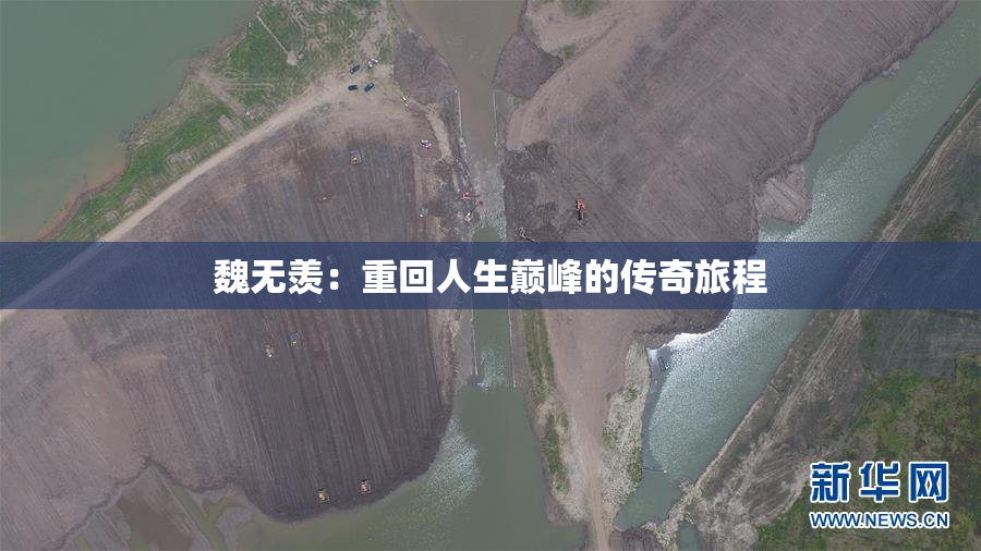 魏无羡：重回人生巅峰的传奇旅程