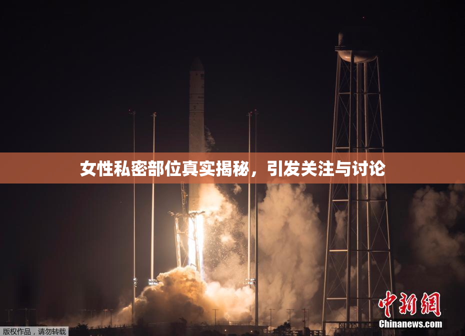 女性私密部位真实揭秘，引发关注与讨论