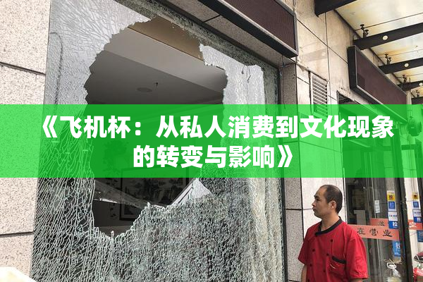《飞机杯：从私人消费到文化现象的转变与影响》