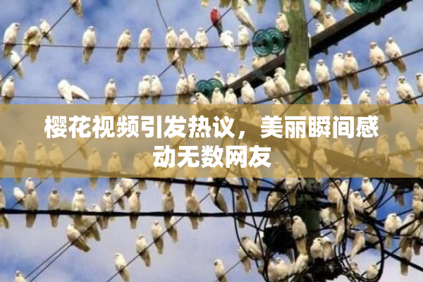 樱花视频引发热议，美丽瞬间感动无数网友