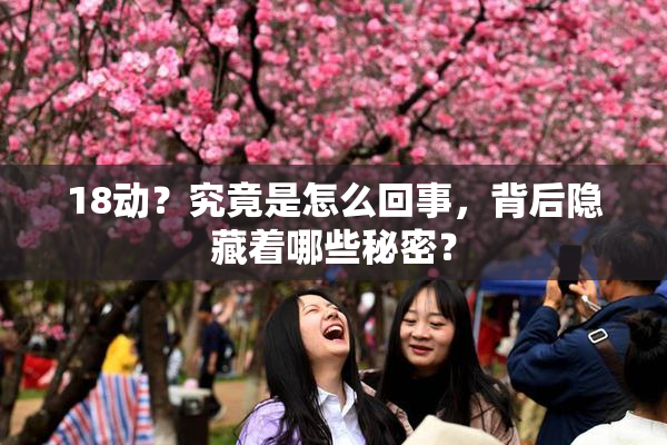 18动？究竟是怎么回事，背后隐藏着哪些秘密？