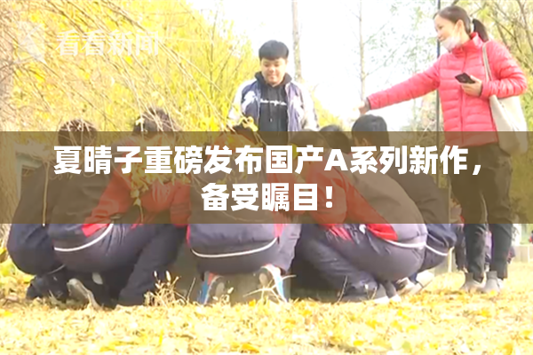 夏晴子重磅发布国产A系列新作，备受瞩目！