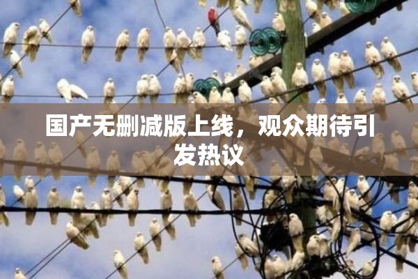 国产无删减版上线，观众期待引发热议
