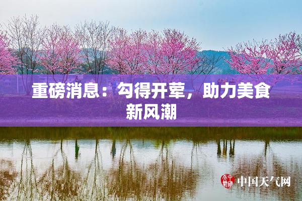 重磅消息：勾得开荤，助力美食新风潮