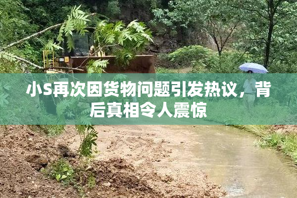 小S再次因货物问题引发热议，背后真相令人震惊