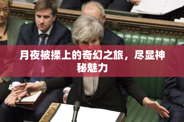 月夜被揉上的奇幻之旅，尽显神秘魅力