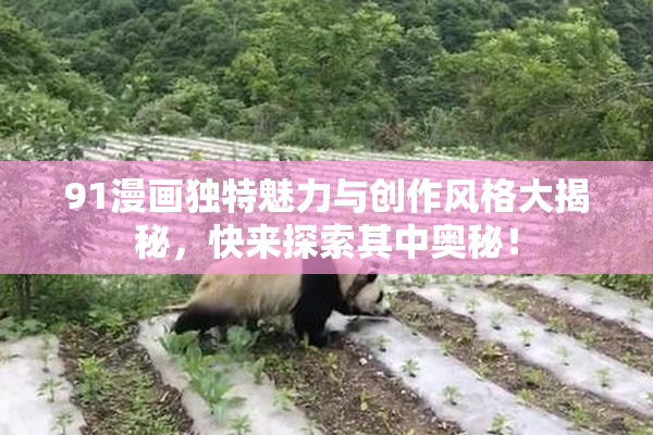 91漫画独特魅力与创作风格大揭秘，快来探索其中奥秘！