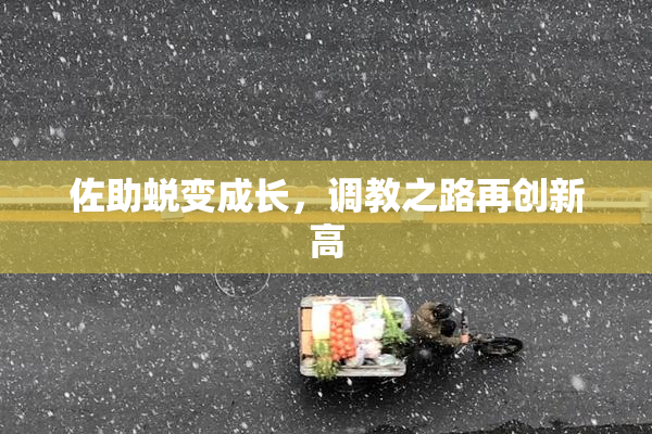佐助蜕变成长，调教之路再创新高
