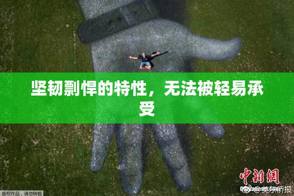 坚韧剽悍的特性，无法被轻易承受