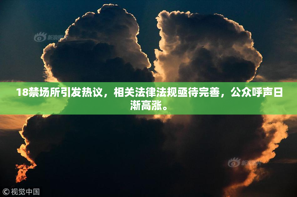 18禁场所引发热议，相关法律法规亟待完善，公众呼声日渐高涨。