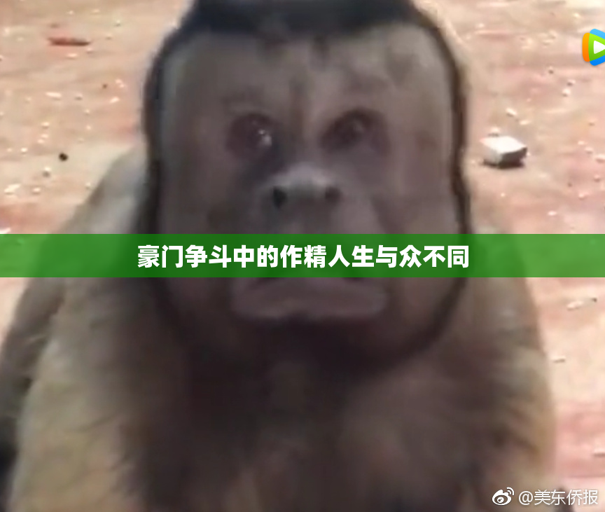 豪门争斗中的作精人生与众不同