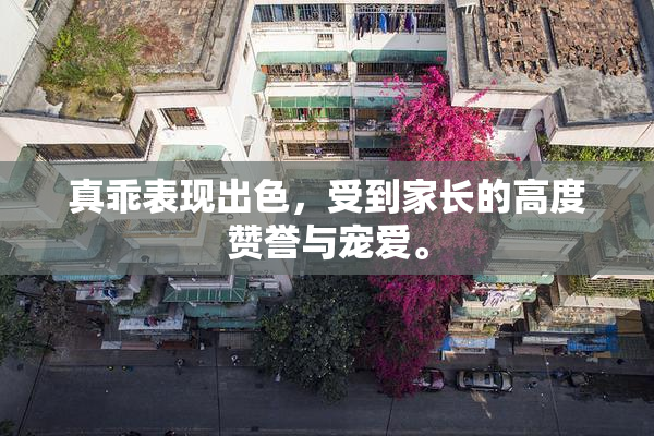 真乖表现出色，受到家长的高度赞誉与宠爱。