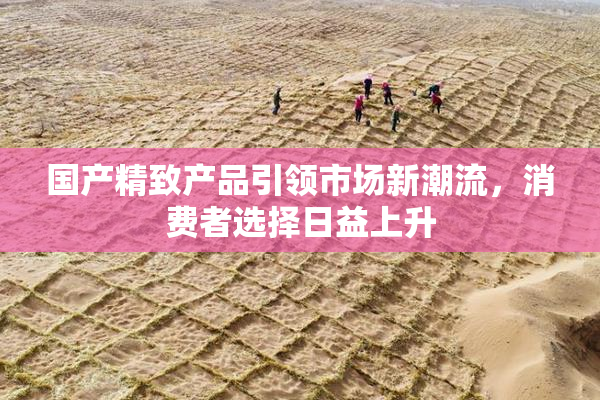 国产精致产品引领市场新潮流，消费者选择日益上升