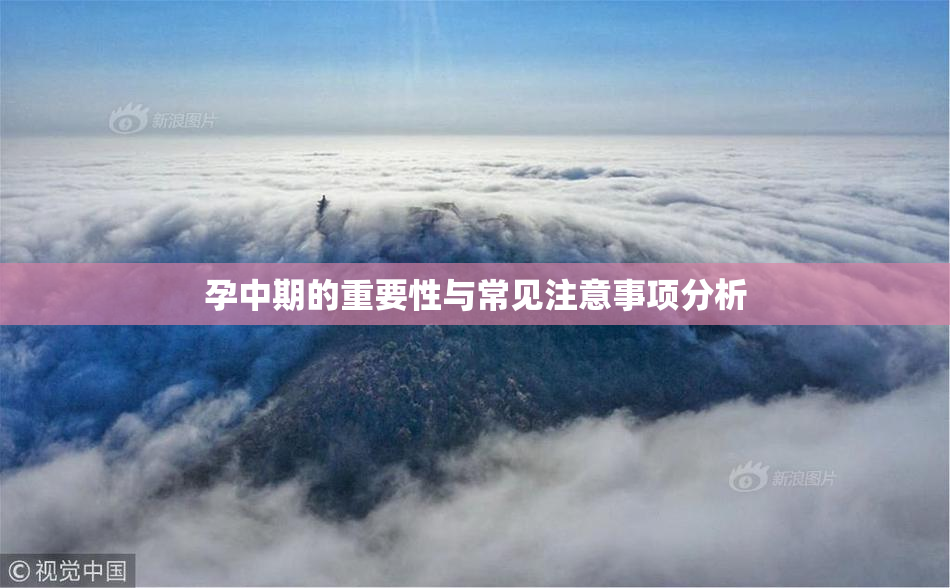 孕中期的重要性与常见注意事项分析