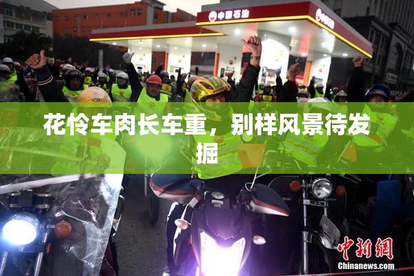 花怜车肉长车重，别样风景待发掘