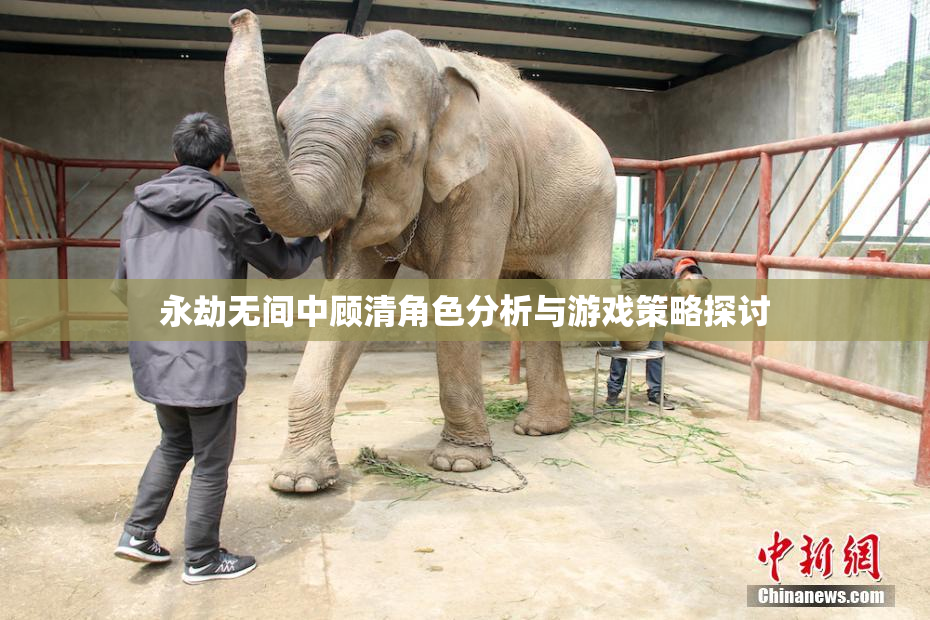 永劫无间中顾清角色分析与游戏策略探讨