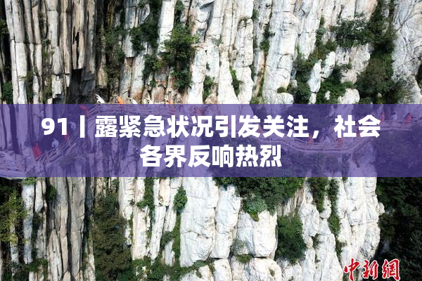 91丨露紧急状况引发关注，社会各界反响热烈
