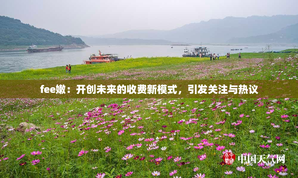 fee嫩：开创未来的收费新模式，引发关注与热议