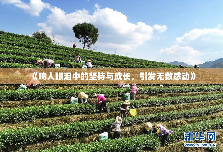 《鸣人眼泪中的坚持与成长，引发无数感动》