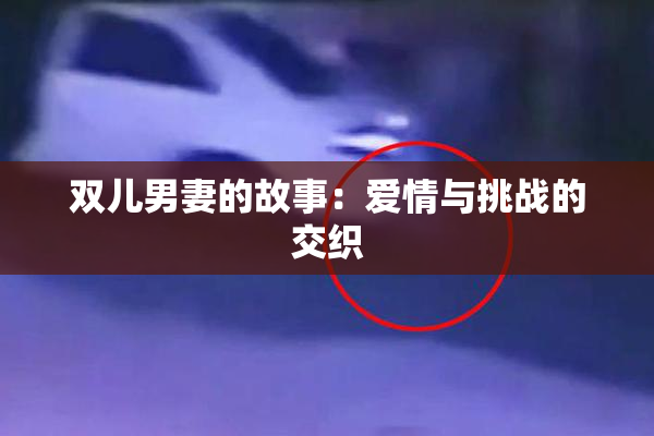 双儿男妻的故事：爱情与挑战的交织
