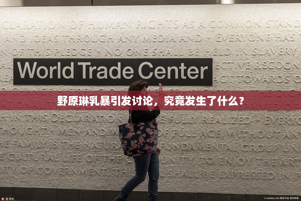 野原琳乳暴引发讨论，究竟发生了什么？