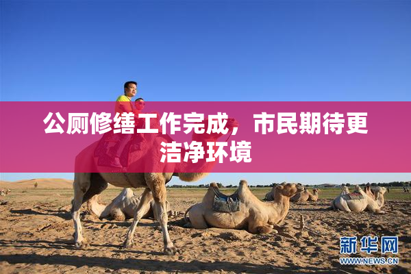 公厕修缮工作完成，市民期待更洁净环境