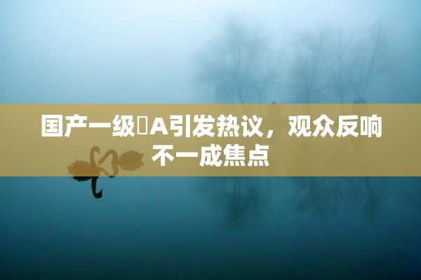 国产一级婬A引发热议，观众反响不一成焦点