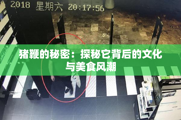 猪鞭的秘密：探秘它背后的文化与美食风潮
