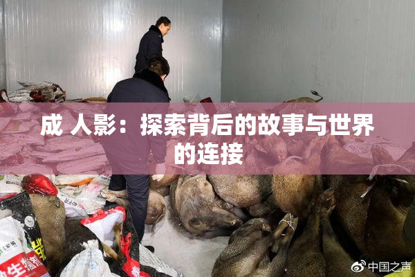 成 人影：探索背后的故事与世界的连接