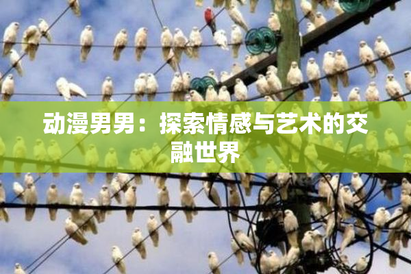 动漫男男：探索情感与艺术的交融世界