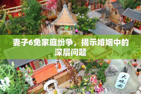 妻子6免家庭纷争，揭示婚姻中的深层问题