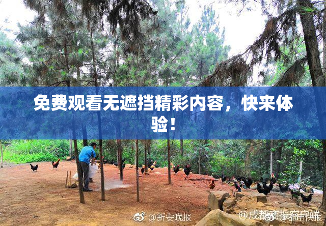 免费观看无遮挡精彩内容，快来体验！