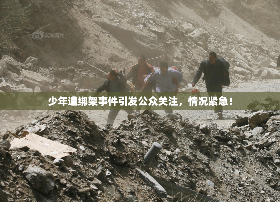 少年遭绑架事件引发公众关注，情况紧急！