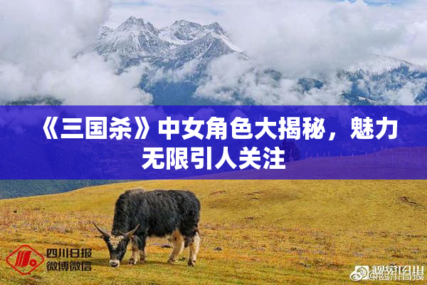 《三国杀》中女角色大揭秘，魅力无限引人关注