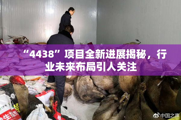 “4438”项目全新进展揭秘，行业未来布局引人关注