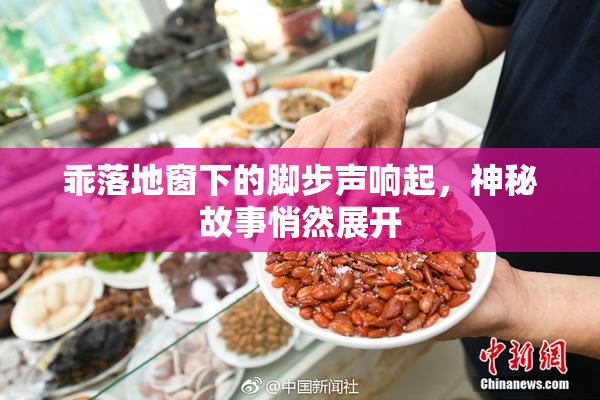 乖落地窗下的脚步声响起，神秘故事悄然展开