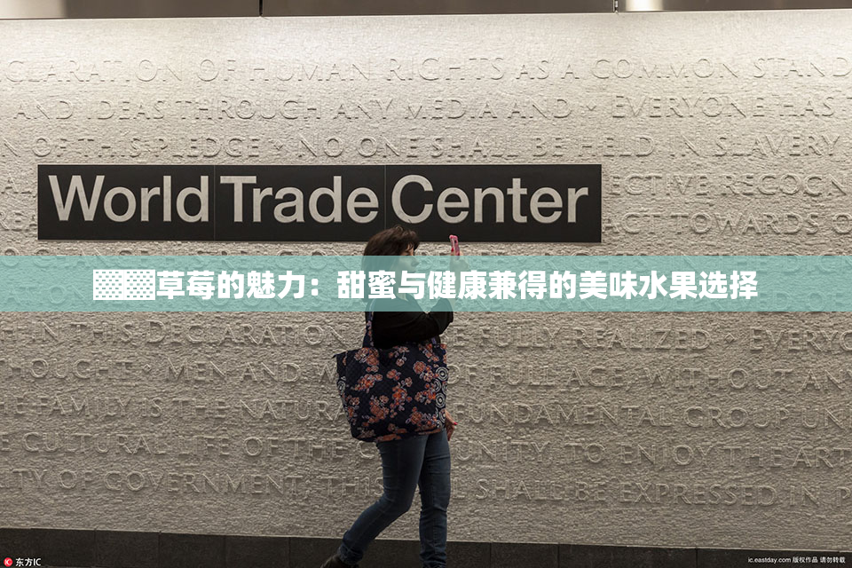 ▓▓草莓的魅力：甜蜜与健康兼得的美味水果选择