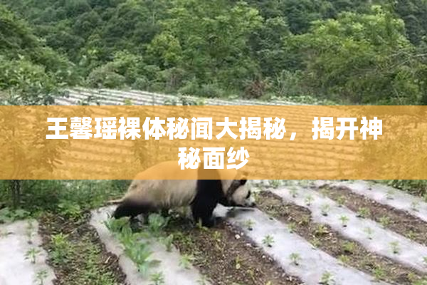 王馨瑶裸体秘闻大揭秘，揭开神秘面纱
