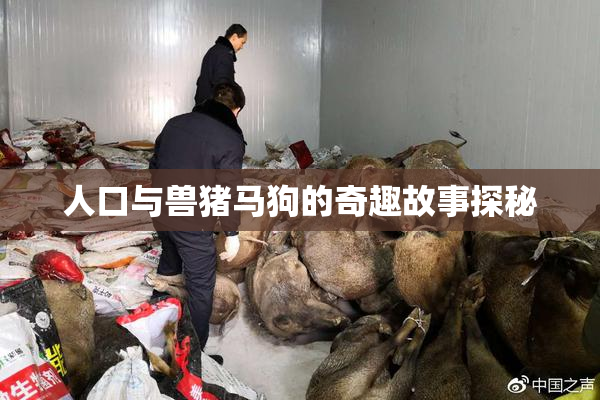 人口与兽猪马狗的奇趣故事探秘