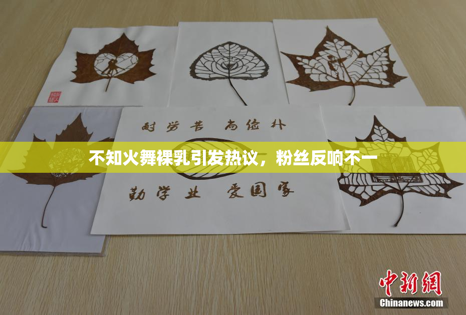 不知火舞裸乳引发热议，粉丝反响不一