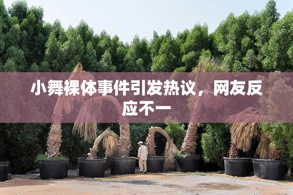小舞裸体事件引发热议，网友反应不一