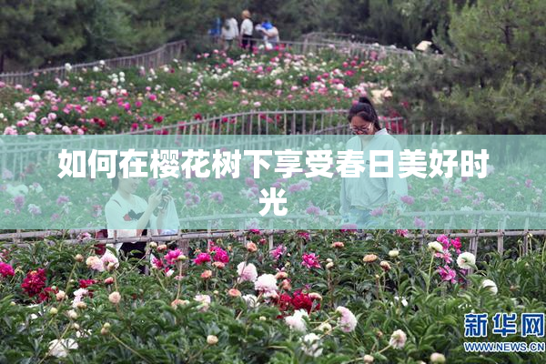 如何在樱花树下享受春日美好时光