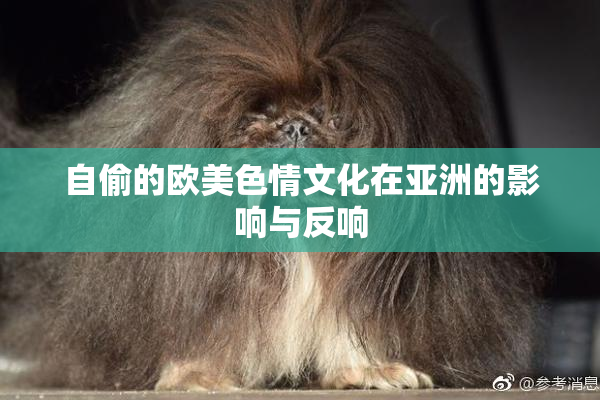 自偷的欧美色情文化在亚洲的影响与反响